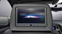 Audi Q7 V12 TDI - inny element wnętrza z przodu