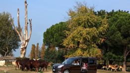 Fiat Doblo 2010 - lewy bok