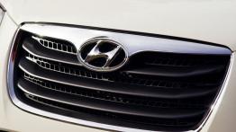 Hyundai Santa Fe 2010 - grill