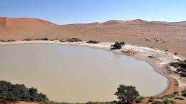 Skoda Yeti w Namibii - dzień 2 - poznajemy szutry i piaski