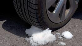 Wakacje z hybrydą - Toyota Auris