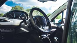 Peugeot 2008 (2016) - galeria redakcyjna
