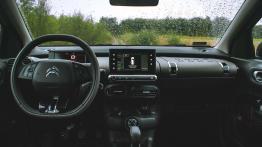 Citroen C4 Cactus Rip Curl - galeria redakcyjna