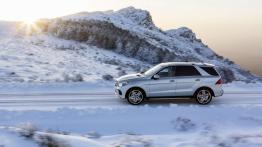 Mercedes GLE 500 e 4MATIC (W 166) 2016 - lewy bok