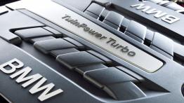 BMW 650i Cabrio F12 Facelifting (2015) - silnik