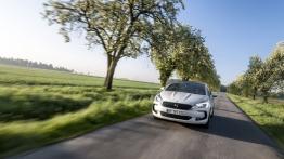 DS 5 Facelifting (2015) - widok z przodu