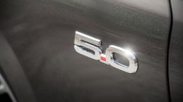 Ford Mustang VI Cabrio GT (2015) - wersja europejska - emblemat boczny