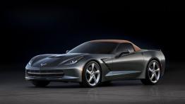 Chevrolet Corvette C7 Stingray Cabrio (2014) - przód - reflektory włączone