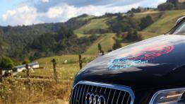 Audi Q5 w Nowej Zelandii - część 1 - galeria redakcyjna - inne zdjęcie