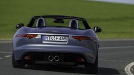 Jaguar F-Type V6 Satellite Grey - widok z tyłu