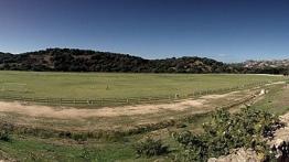 Hyundai i10 II - galeria redakcyjna - widok z przodu