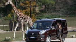 Fiat Doblo 2010 - lewy bok
