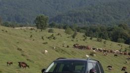 Skoda Yeti w Odessie - galeria redakcyjna - widok z przodu