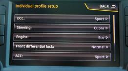 Seat Leon ST Cupra - Sport i Transport