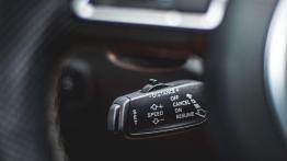 Audi SQ5 - galeria redakcyjna