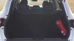 Renault Kadjar 1.6 dCi 130KM X-Tronic S-Edition - galeria redakcyjna - baga?nik