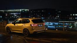 BMW X5 30d 265 KM - galeria redakcyjna - lewy bok