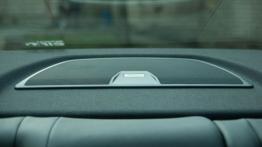 Renault Laguna Coupe GT 2.0 dCi - galeria redakcyjna - głośnik tylny