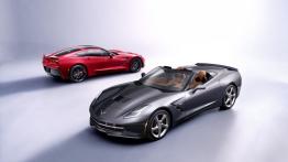 Chevrolet Corvette C7 Stingray Cabrio (2014) - widok z góry