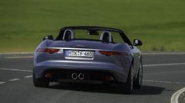 Jaguar F-Type V6 Satellite Grey - widok z tyłu