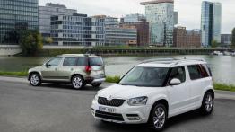 Skoda Yeti Facelifting (2014) - inne zdjęcie