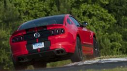 Ford Mustang Shelby GT500 Coupe 2013 - widok z tyłu