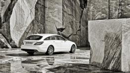Mercedes CLS Shooting Brake - prawy bok