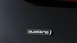 Audi A1 Quattro - emblemat