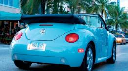 Volkswagen New Beetle - widok z tyłu