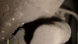 Opis techniczny Renault Megane 2