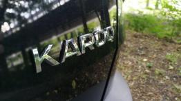Skoda Karoq - galeria redakcyjna (2)