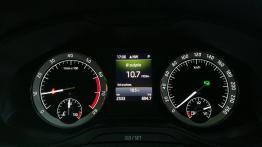 Skoda Karoq - galeria redakcyjna (2)