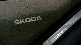 Skoda Karoq - galeria redakcyjna (2)