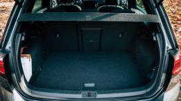 Volkswagen Golf R - galeria redakcyjna (2) - baga?nik