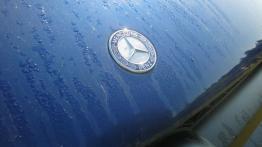 Mercedes Vito W639 Furgon Facelifting 110 CDI 95KM - galeria redakcyjna (2) - logo