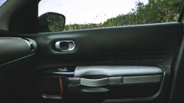 Citroen C4 Cactus Rip Curl - galeria redakcyjna