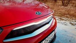 Kia Stonic 1.4 DOHC 100 KM - galeria redakcyjna