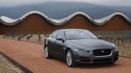 Jaguar XE 2.0d Ammonite Grey (2015) - widok z przodu