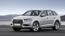 Audi Q7 II e-tron 2.0 TFSI quattro (2016) - lewy bok