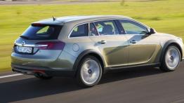 Opel Insignia Country Tourer (2013) - widok z tyłu