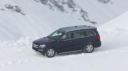 Mercedes GL 500 (X166) 4MATIC - widok z góry