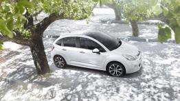 Citroen C3 II Facelifting (2013) - widok z góry