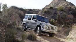 Mercedes klasy G 2013 - prawy bok