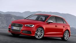 Audi S3 III Sportback (2013) - widok z przodu