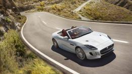 Jaguar F-Type AWD R Roadster Glacier White (2015) - widok z przodu