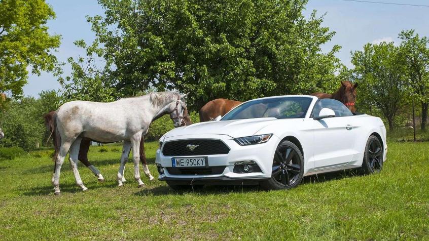 Ford Mustang VI Convertible 2.3 EcoBoost 317KM 233kW 2014-2017