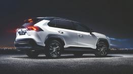 Toyota RAV4 Hybrid (2018) - widok z ty?u