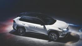 Toyota RAV4 Hybrid (2018)