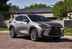 Galeria Lexus NX