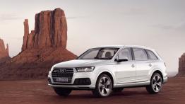 Audi Q7 II (2015) - lewy bok
